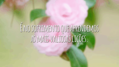É no sofrimento que aprendemos as mais valiosas lições.