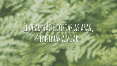 Educar não é cortar as asas, é ensinar a voar.