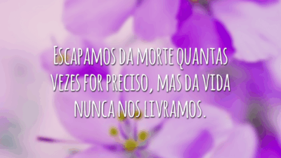 Escapamos da morte quantas vezes for preciso, mas da vida nunca nos livramos.