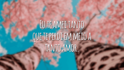 Eu te amei tanto que te perdi em meio a tanto amor.