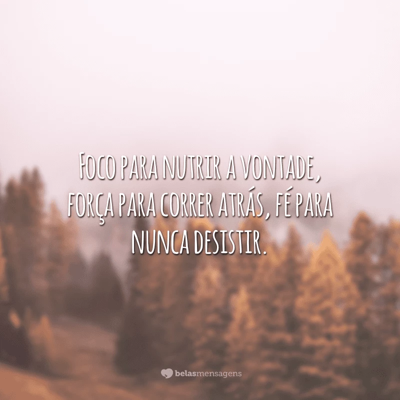 Foco para nutrir a vontade, força para correr atrás, fé para nunca desistir. 