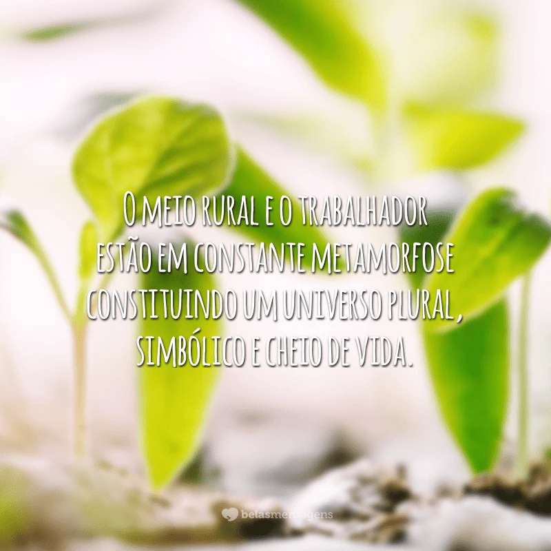 O meio rural e o trabalhador estão em constante metamorfose constituindo um universo plural, simbólico e cheio de vida.