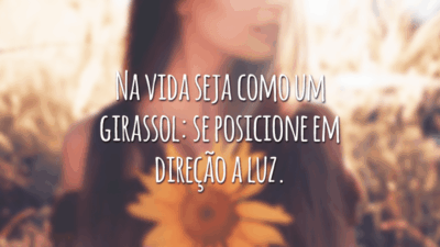 Na vida seja como um girassol: se posicione em direção a luz.
