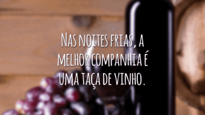 Nas noites frias, a melhor companhia é uma taça de vinho.
