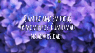 O amigo ama em todos os momentos; é um irmão na adversidade.