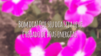 Bom dia! Que seu dia seja leve e regado de boas energias.