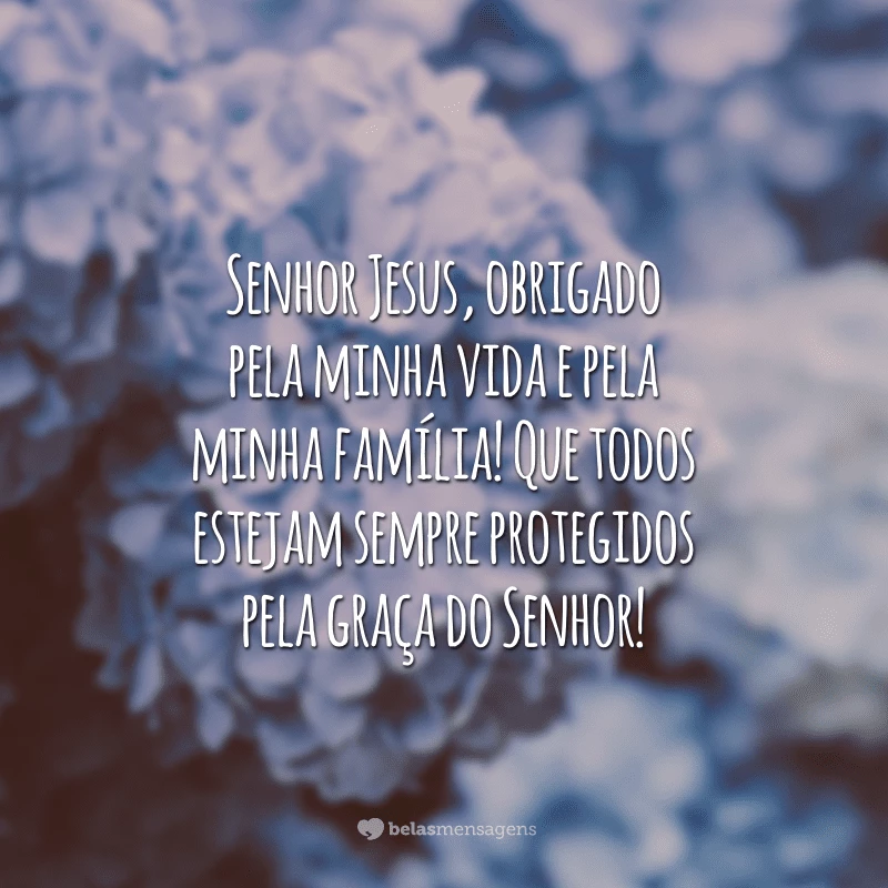 Senhor Jesus, obrigado pela minha vida e pela minha família! Que todos estejam sempre protegidos pela graça do Senhor!