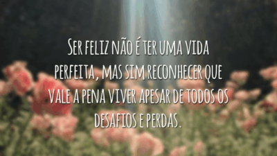 Ser feliz não é ter uma vida perfeita, mas sim reconhecer que vale a pena viver apesar de todos os desafios e perdas.