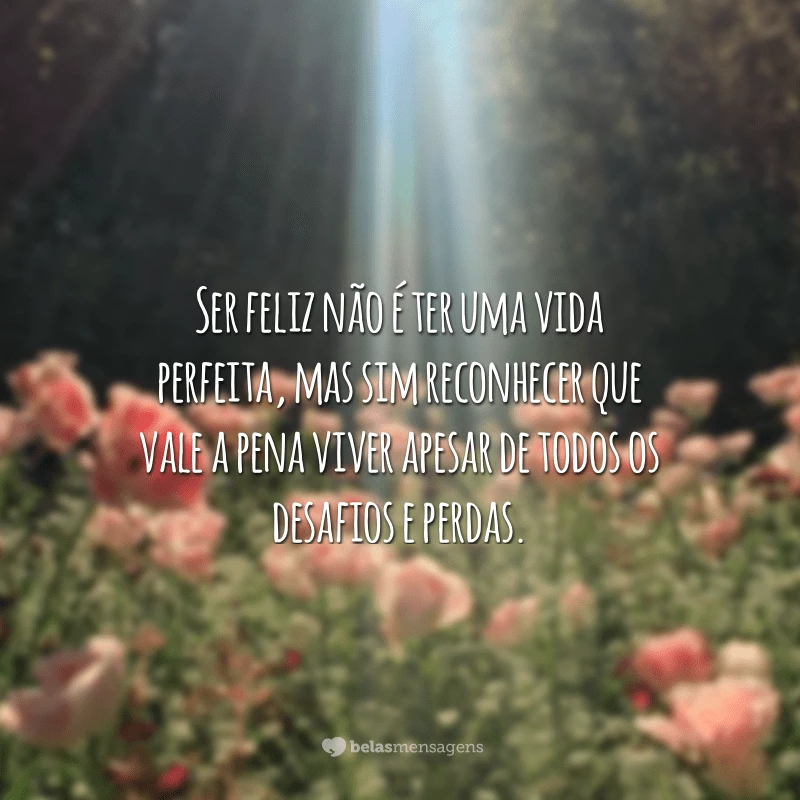 Ser feliz não é ter uma vida perfeita, mas sim reconhecer que vale a pena viver apesar de todos os desafios e perdas.