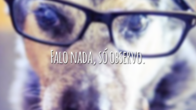 Falo nada, só observo.