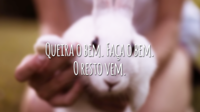 Queira o bem. Faça o bem. O resto vem.