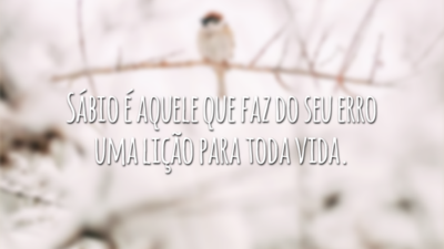 Sábio é aquele que faz do seu erro uma lição para toda vida.