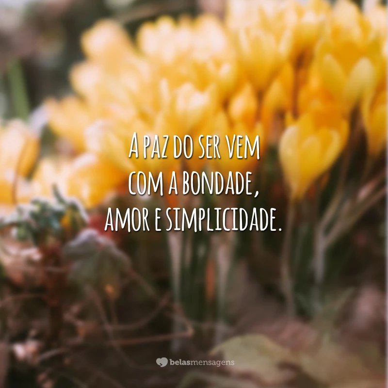 A paz do ser vem com a bondade, amor e simplicidade.