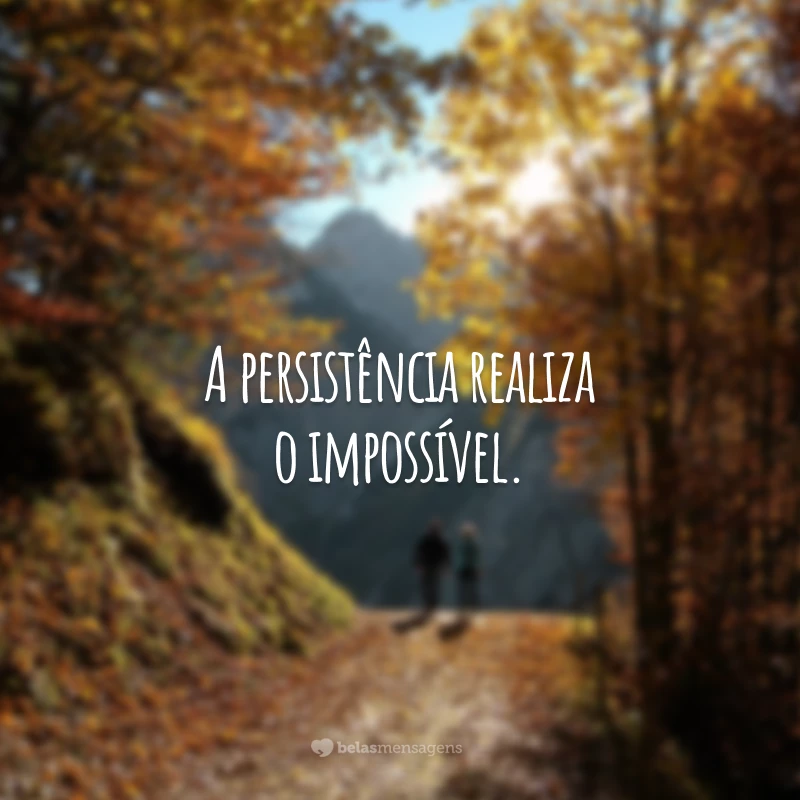 A persistência realiza o impossível.