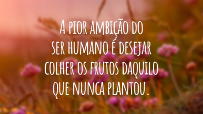 A pior ambição do ser humano é desejar colher os frutos daquilo que nunca plantou.