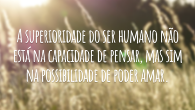 A superioridade do ser humano não está na capacidade de pensar, mas sim na possibilidade de poder amar.
