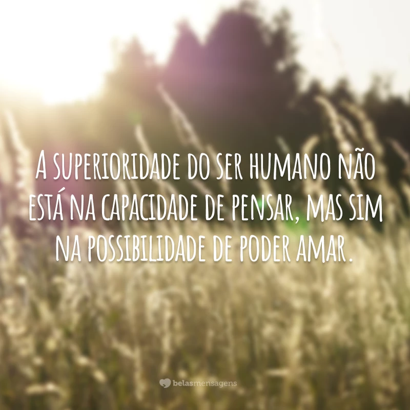 A superioridade do ser humano não está na capacidade de pensar, mas sim na possibilidade de poder amar.