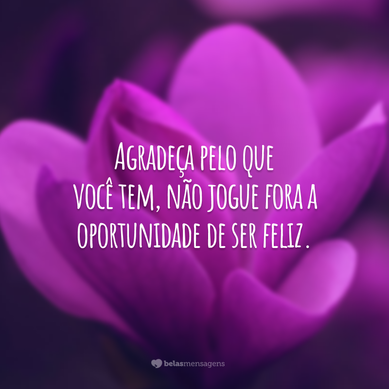 Agradeça pelo que você tem, não jogue fora a oportunidade de ser feliz.