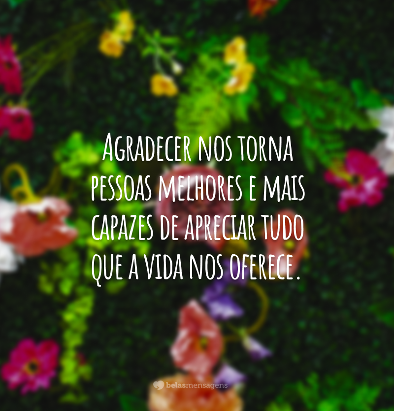 Agradecer nos torna pessoas melhores e mais capazes de apreciar tudo que a vida nos oferece.