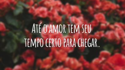 Até o amor tem seu tempo certo para chegar.