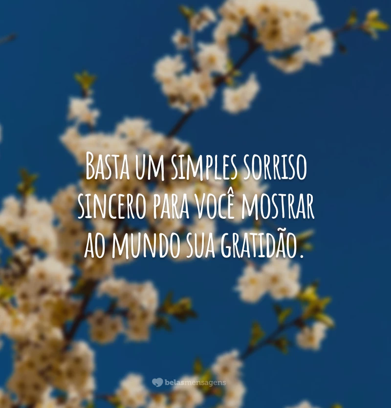 Basta um simples sorriso sincero para você mostrar ao mundo sua gratidão.