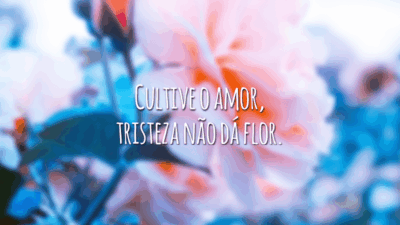 Cultive o amor, tristeza não dá flor.