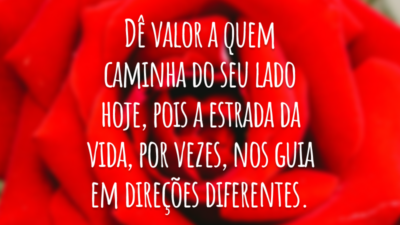 Dê valor a quem caminha do seu lado hoje, pois a estrada da vida, por vezes, nos guia em direções diferentes.