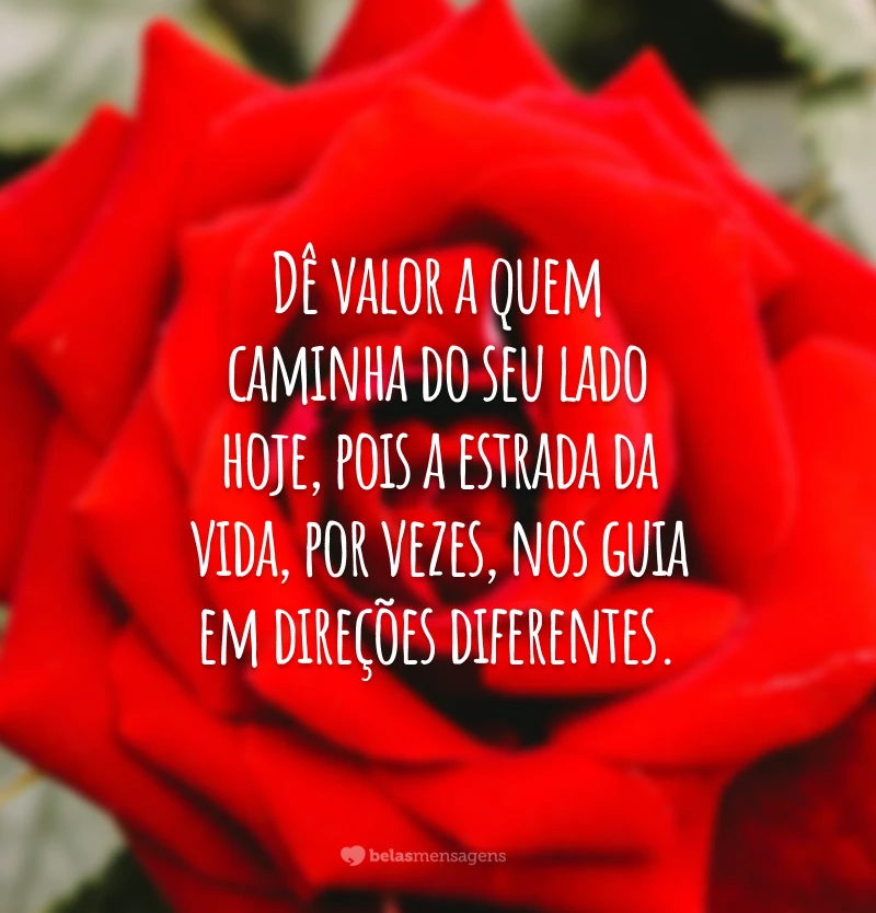 Dê valor a quem caminha do seu lado hoje, pois a estrada da vida, por vezes, nos guia em direções diferentes.