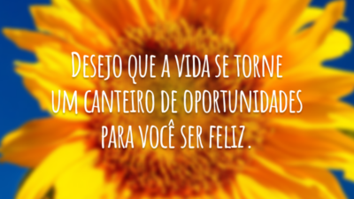 Desejo que a vida se torne um canteiro de oportunidades para você ser feliz.