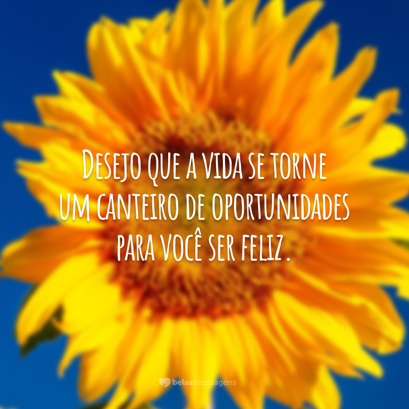 Desejo que a vida se torne um canteiro de oportunidades para você ser feliz.