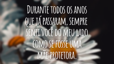 Durante todos os anos que já passaram, sempre senti você do meu lado como se fosse uma mãe protetora.