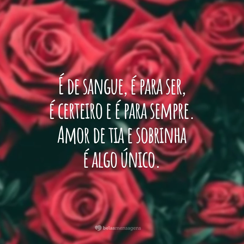 É de sangue, é para ser, é certeiro e é para sempre. Amor de tia e sobrinha é algo único.