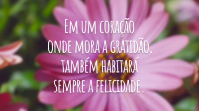Em um coração onde mora a gratidão, também habitará sempre a felicidade.