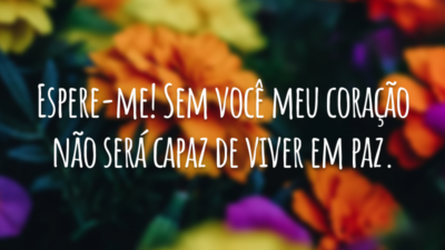 Espere-me! Sem você meu coração não será capaz de viver em paz.