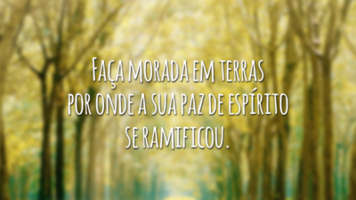 Faça morada em terras por onde a sua paz de espírito se ramificou.