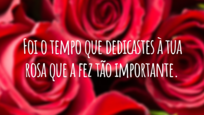 Foi o tempo que dedicastes à tua rosa que a fez tão importante.