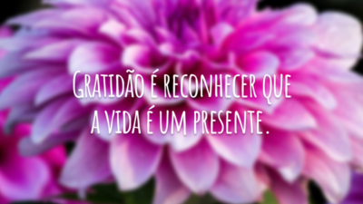 Gratidão é reconhecer que a vida é um presente.