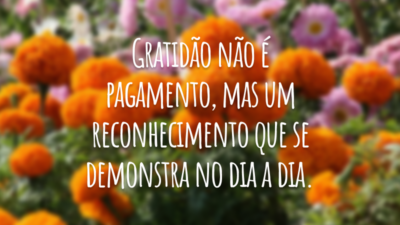 Gratidão não é pagamento, mas um reconhecimento que se demonstra no dia a dia.