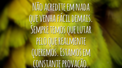 Não acredite em nada que venha fácil demais. Sempre temos que lutar pelo que realmente queremos. Estamos em constante provação.