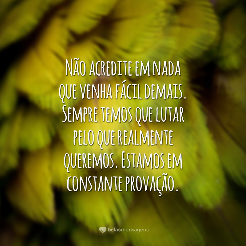 Não acredite em nada que venha fácil demais. Sempre temos que lutar pelo que realmente queremos. Estamos em constante provação.