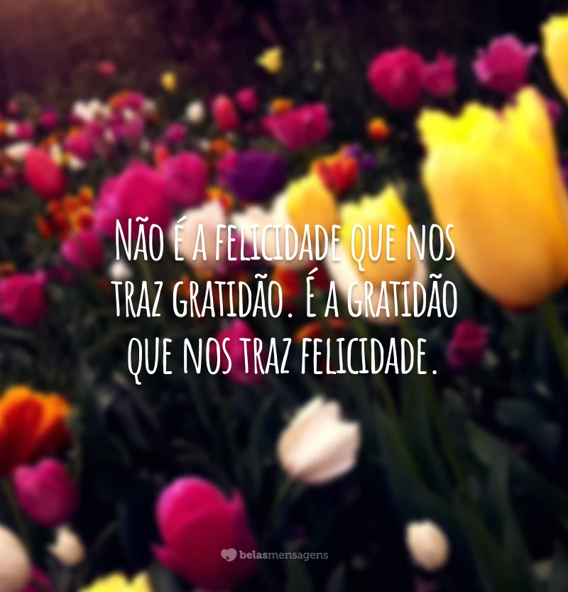 50 frases de gratidão à vida para celebrar cada momento 50 frases de gratidão à vida para celebrar cada momento
