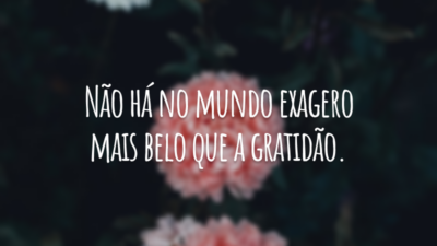 Não há no mundo exagero mais belo que a gratidão.