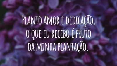 Planto amor e dedicação, o que eu recebo é fruto da minha plantação.