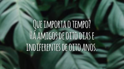 Que importa o tempo? Há amigos de oito dias e indiferentes de oito anos.