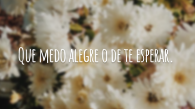 Que medo alegre o de te esperar.