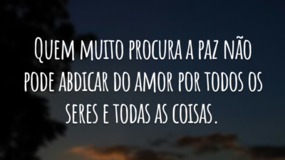 Quem muito procura a paz não pode abdicar do amor por todos os seres e todas as coisas.