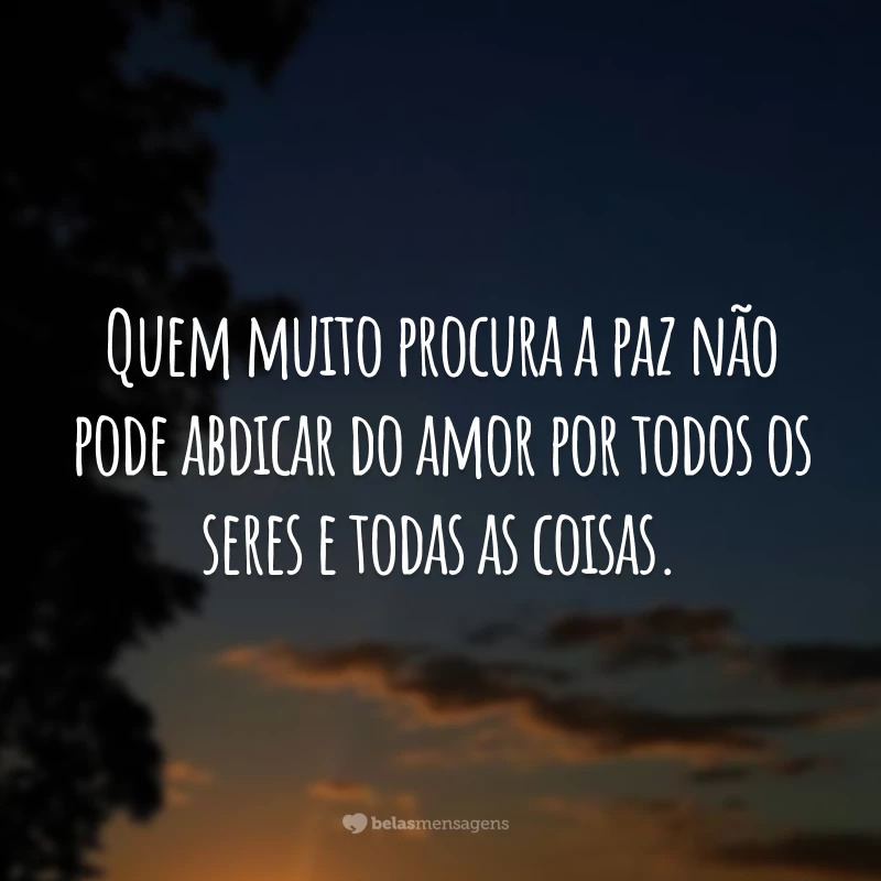 Quem muito procura a paz não pode abdicar do amor por todos os seres e todas as coisas.