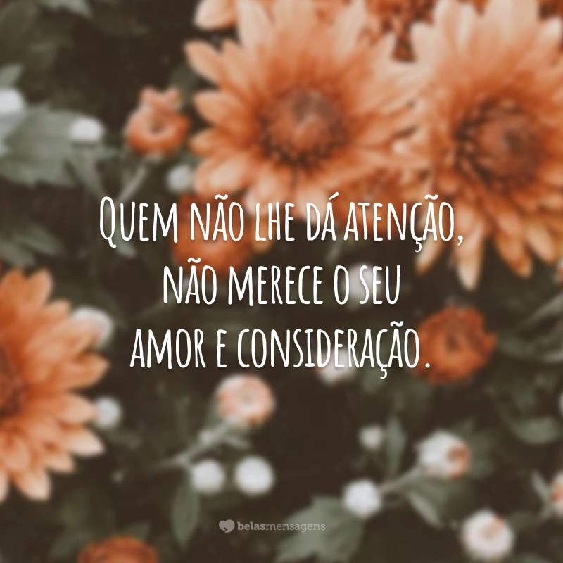 Quem não lhe dá atenção, não merece o seu amor e consideração.