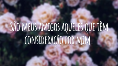 São meus amigos aqueles que têm consideração por mim.