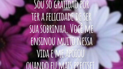 Sou só gratidão por ter a felicidade de ser sua sobrinha. Você me ensinou muito nessa vida e me apoiou quando eu mais precisei.